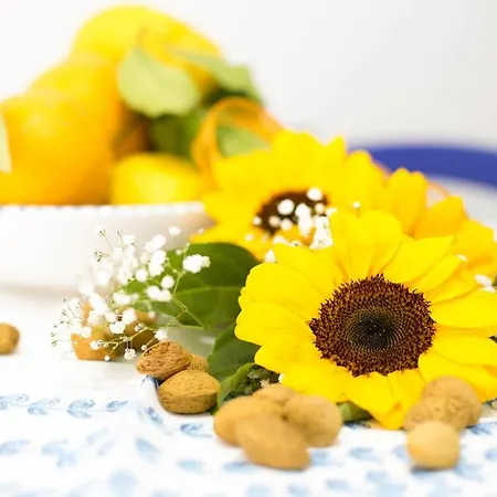 Sciabika Edificio Flowers * 卡斯泰拉马莱