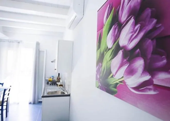 Sciabika Edificio Flowers 公寓 *